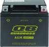 QuadBoss 401376 fits GM Battery QBX5L-FA