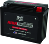 Twin Power YTX-24HL fits High Performance Battery Replaces H-D 66010-82A Made i