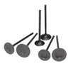 Skunk2 Racing 310-05-0312 Skunk2 Pro Series fits Honda/fits Acura Stock Size B Series DOHC VTEC Intake Valve (Standard Compression)