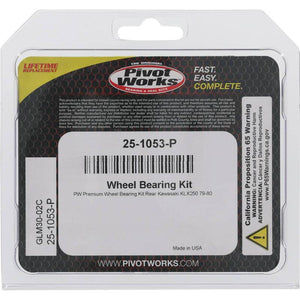 Pivot World 25-1053-P fits Kawasaki Wheel Bearing Kit Premium Bearings