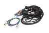 FAST 301101 Wiring Harness FAST Main LT1