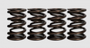 Ferrea S10181 fits Ford Coyote 5.0L 32 Valves 0.806/1.102in OD 0.580/0.806in