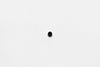 Wilwood bolt 3/8-24X.38 LG set screw holo-knurl PT black holo-krome