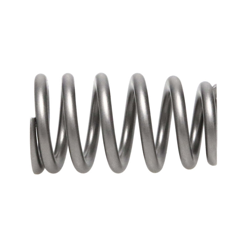 Manley  221431-16 Springs Single Hemi