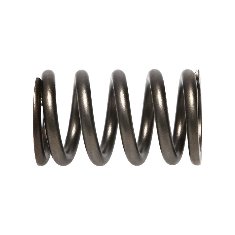 Manley  22190-16 fits Dodge SRT-4 16pc Valve Springs
