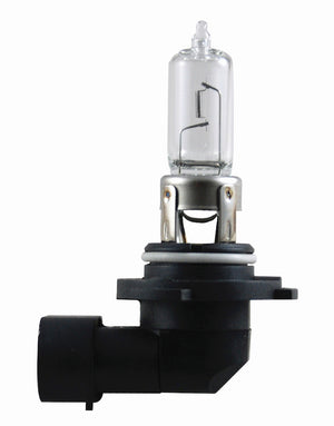 Hella LA9005P50TB Bulb 9005 12V 65W P20D T4 +50 (2)