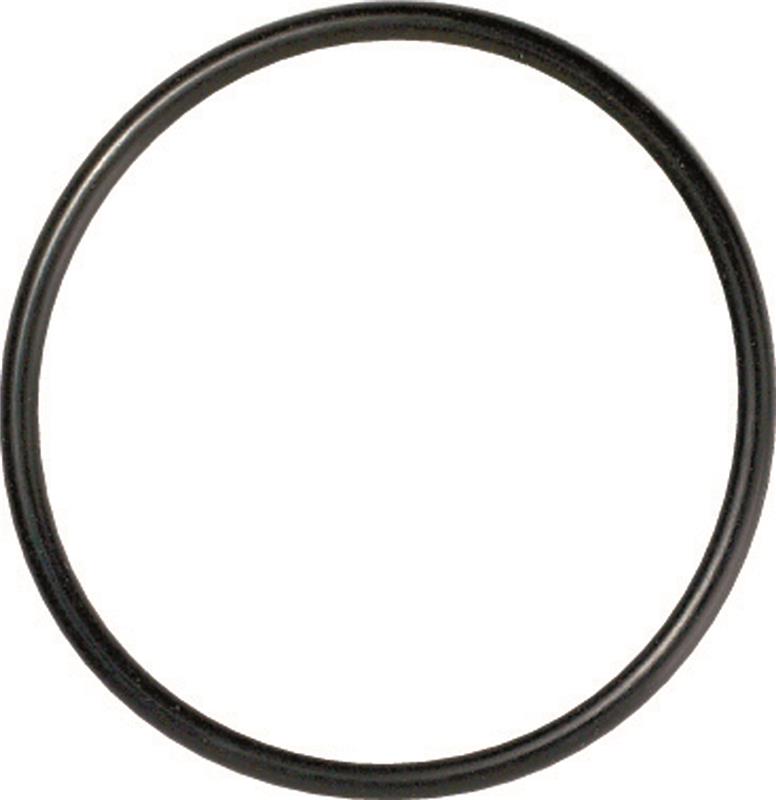 Gates 33613 96-01 A4 (inc Quattro) / 95-04 A6 (inc Quattro) Thermostat Seal