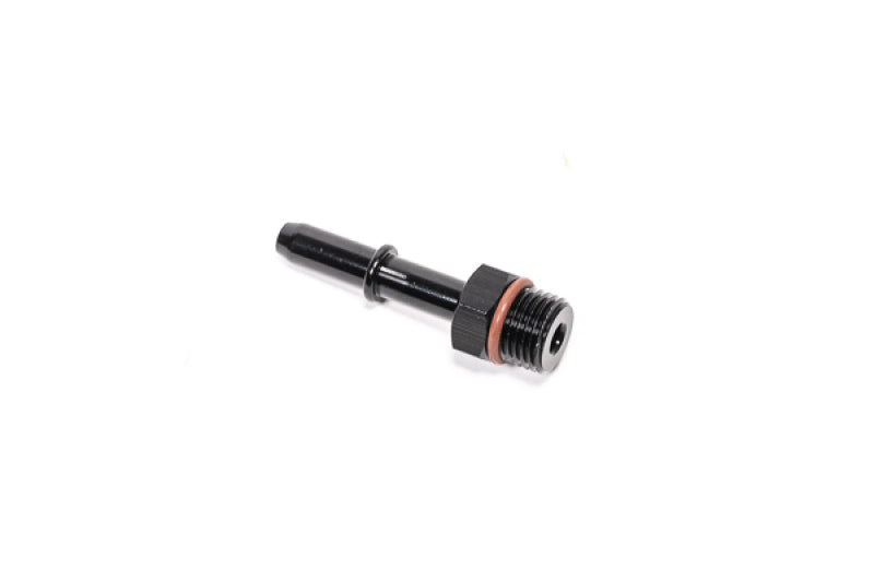 Radium Engineering 14-0646 Radium 6AN ORB to .313in SAE Male Fitting
