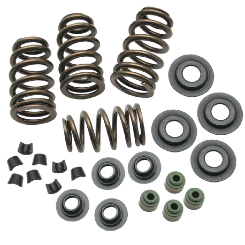 S&S 106-5909 Cycle 04-19 XL Valve Spring Kit - .650in
