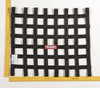 Racequip 726004 Black 18 X 21 SFI Ribbon Net