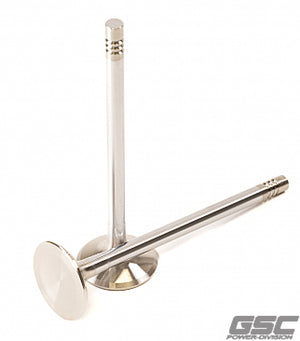 GSC 2257-01 fits Audi DAZA 28mm Head STD 101.8mm Long Chrome Polished Exh Val
