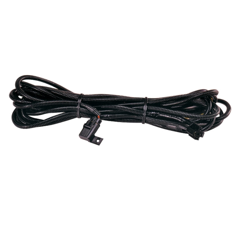 Hella H84994031 High Performance Halogen Wiring Harness