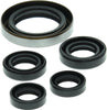 QuadBoss 564349 06-07 Polaris Outlaw 500 Oil Seal Set