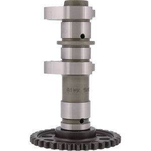 Hot Cams 2251-2IN 04/06-08 400 DVX/00-04 DR-Z 400 Intake Camshaft - Stage 2