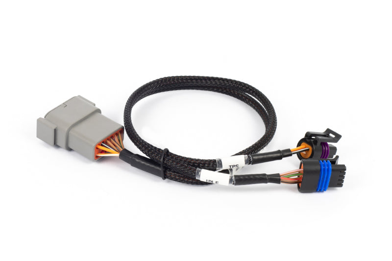 Haltech HT-186504 NEXUS Rebel LS Cable Throttle & IAC Sub-Harness (Plug-n-Play w/HT-186500)