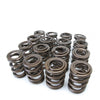 Skunk2 Racing 311-05-1380 Skunk2 Tuner Series fits Honda/fits Acura (K20/K24/F20C/F22C) DOHC VTEC Alpha Valve Spring Set (Dual Springs)