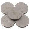 Hot Cams 5PK1300195 Shim Kits 1.950mm Thickness - 5 Pack