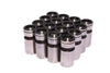 COMP Cams 822-16 Hydraulic Lifters A-CRS-CRB