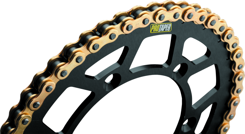 ProTaper 23101 Chain 420MX 134L