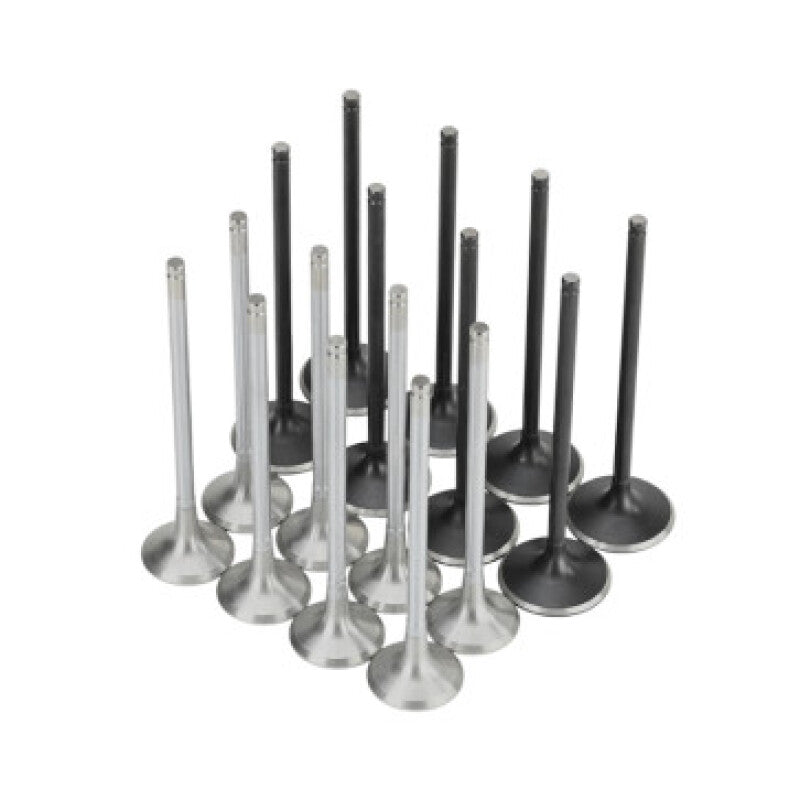 Skunk2 Honda K20C1 Alpha Series Intake & Exhaust Valve Set (Standard Compression)