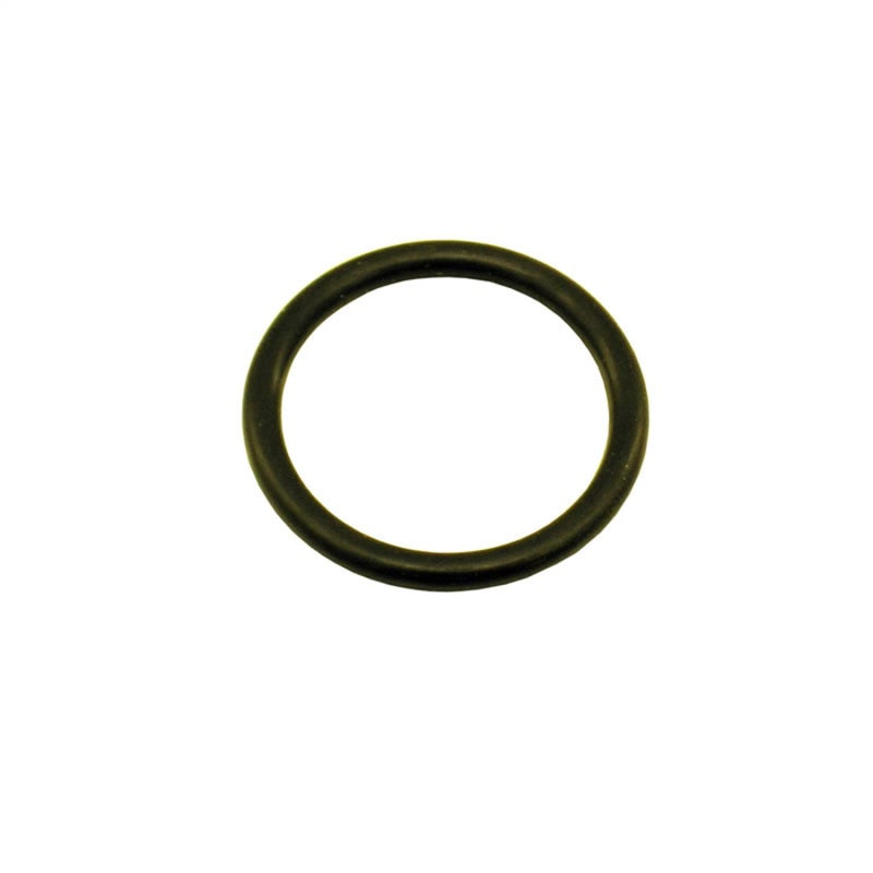 Nitrous Express 11027 3/4 O-Ring for Motorcycle Bottle Valve (Fits 2.5lb Bottle)