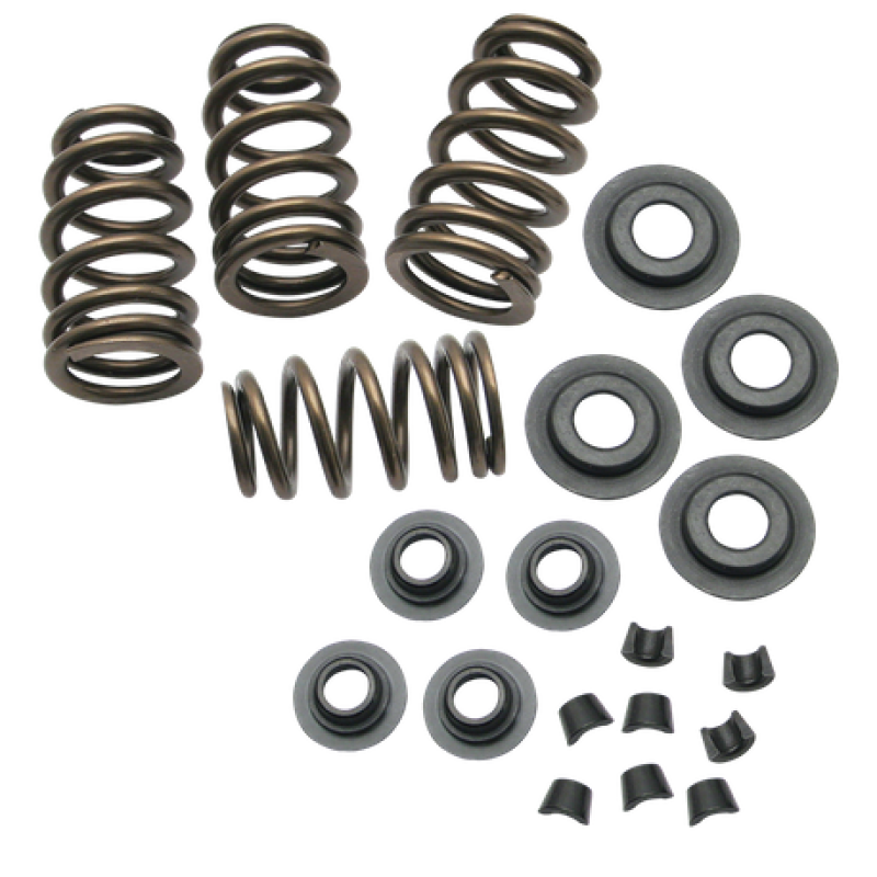 S&S 900-0050 Cycle 84-04 BT/86-03 Sportster Models .650in Lift Sidewinder Valve