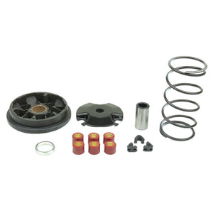 Athena P400485110001 Agrale 50 Complete Speedmatic Variator Kit