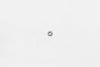 Wilwood nut 1/4-20 hex jamb chrome