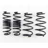 RS-R H303D 2011-2016 fits Honda CR-Z (ZF1) Down Sus Springs