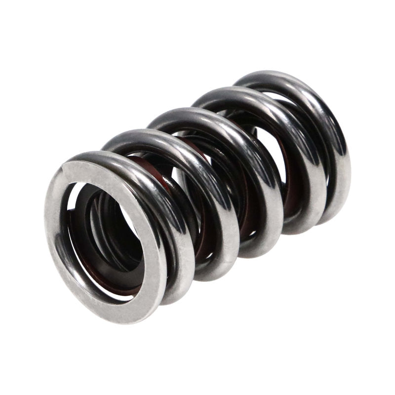 Manley  22431-16 Oval/Drag Chrome Silicone Double w/ Damper 16pc Valve Springs 1