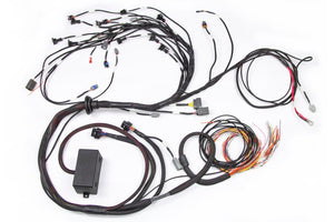 Haltech HT-130326 Elite 2000/2500 Terminated Engine Harness w/EV1 Injector Conne