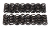 Edelbrock 5824 Valve Springs E-Street Heads Set of 16