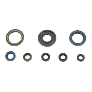 Athena P400270400033 84-89 KTM 250 GS-MX Engine Oil Seal Kit