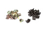 COMP Cams 640-16 Super Valve Locks 11/32in 8 St