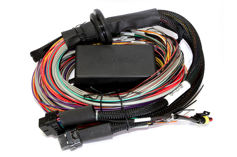 Haltech HT-141304 Elite 2500 & 2500 T 8ft Premium Universal Wire-In Harness