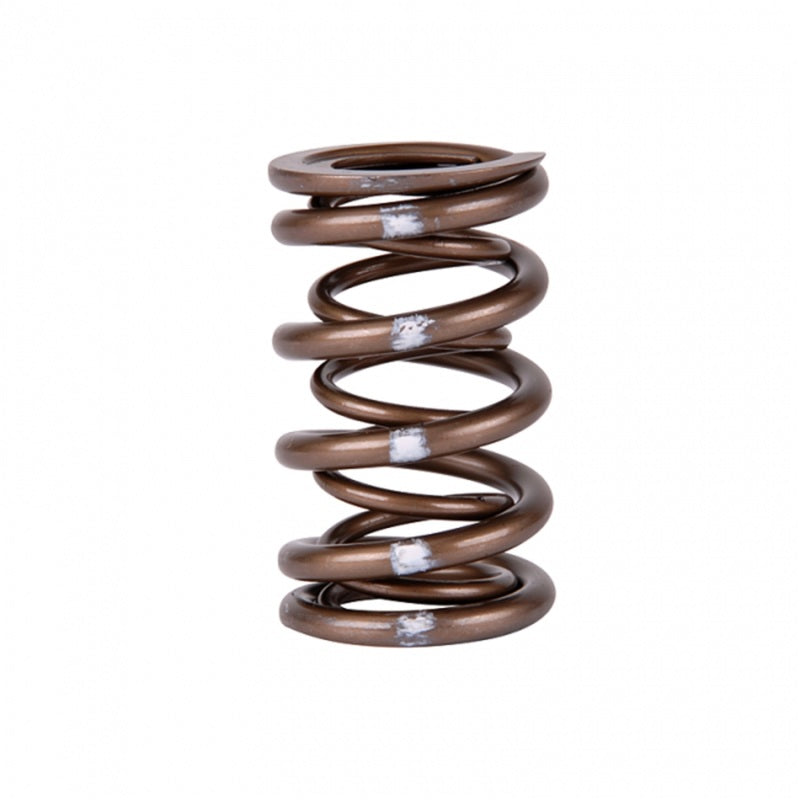Skunk2 Racing 311-05-7380 Skunk2 Pro Series fits Honda/fits Acura K-Series i-VTEC XP Valve Spring Set (Dual Springs)