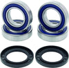 QuadBoss 410646 Qboss Wheel Bearing Kit