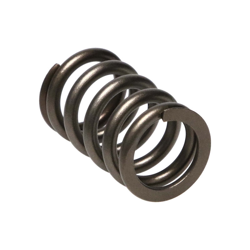 Manley  22190-16 fits Dodge SRT-4 16pc Valve Springs