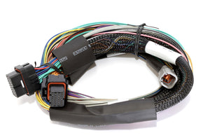 Haltech HT-141302 Elite 2500 8ft Basic Universal Wire-In Harness (No Relays or F