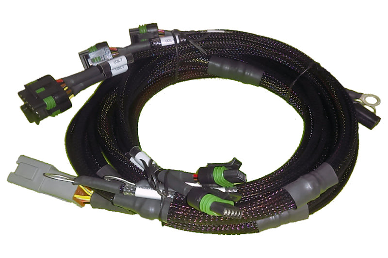 Haltech HT-130306 V8 BB/SB GM/fits Chrysler Hemi V8 8 Channel Individual High Output IGN-1A Inductive Coil Harness