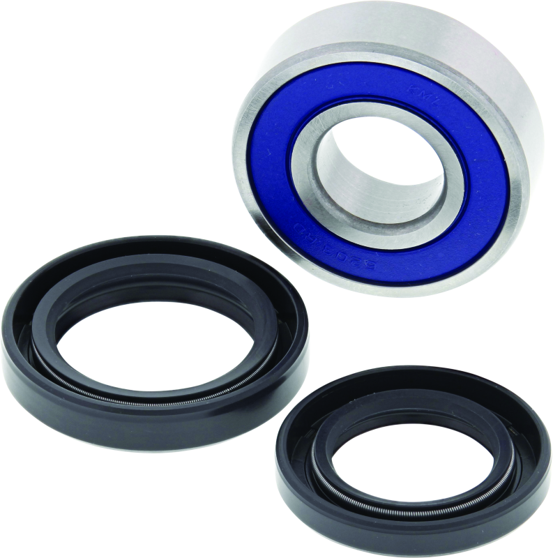 QuadBoss 411432 06-09 Arctic Cat 250 2x4 Lower Steering Bearing Kit