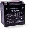 Yuasa YUAM6230XPW YIX30L-BS-PW High Performance Maintenance Free AGM 12 Volt Battery (Bottle Supplied)