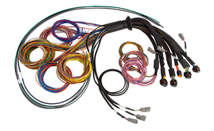 Haltech HT-185200 NEXUS R5 Universal Wire-In Harness - 2.5M (8ft)