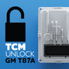 HPT SM-002-UP 2017+ GM 8/10 Speed Auto T87A TCM Unlock & Program (*VIN Required - Must Mail in PCM*)