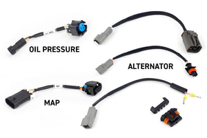 Haltech HT-220204 NEXUS Rebel LS Gen IV 6-Pin DBW Throttle/EV6 Injectors/Manual