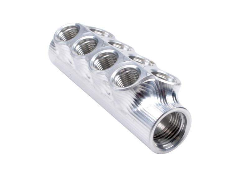 Aeromotive  14602 Fuel Distribution Log (10-Ports) (2) -10 AN/(8) -6 AN
