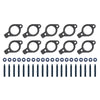 Fel-Pro MSB98018 fits Ford F-250 Super Duty MSB 98018 Exhaust Manifold Gasket Set Bolts Included