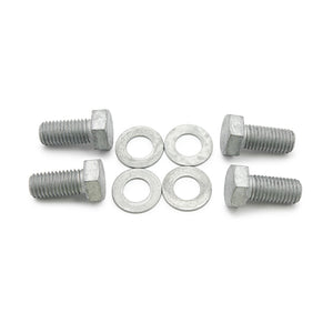 Wilwood bolt kit caliper MT M14-2.00X30MM LG WES072 CL1 silver 4 pack