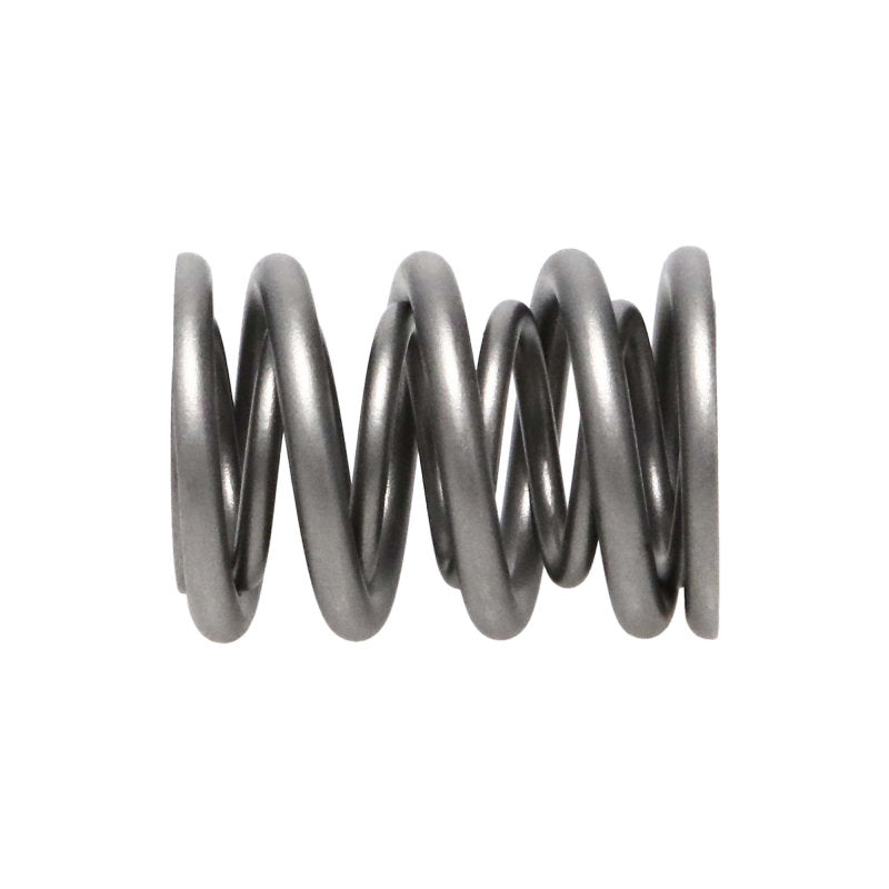 Manley  22160-16 fits Nissan (KA24DE) 16pc Valve Springs