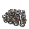 Skunk2 Racing 311-05-1350 Skunk2 Tuner Series fits Honda/fits Acura (B16A/ B17A/ B18C) DOHC VTEC Alpha Valve Spring Set (Dual Springs)